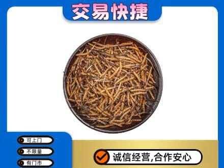 镇平县高价回收散虫草